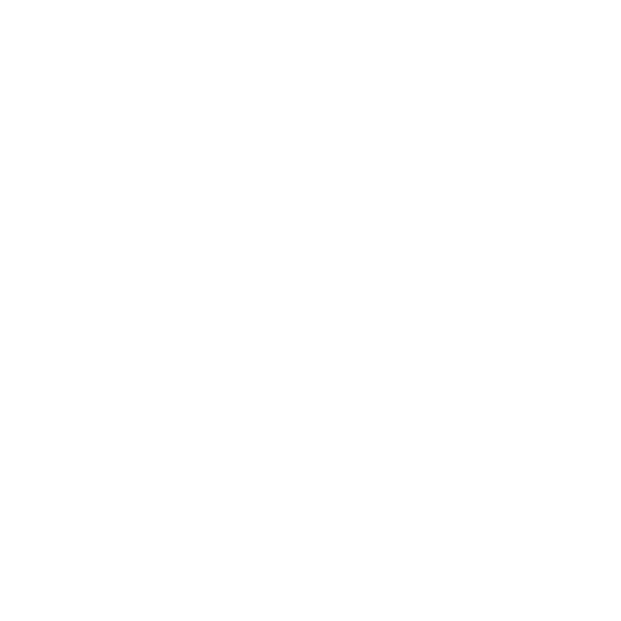 NexarisGaming NG logo